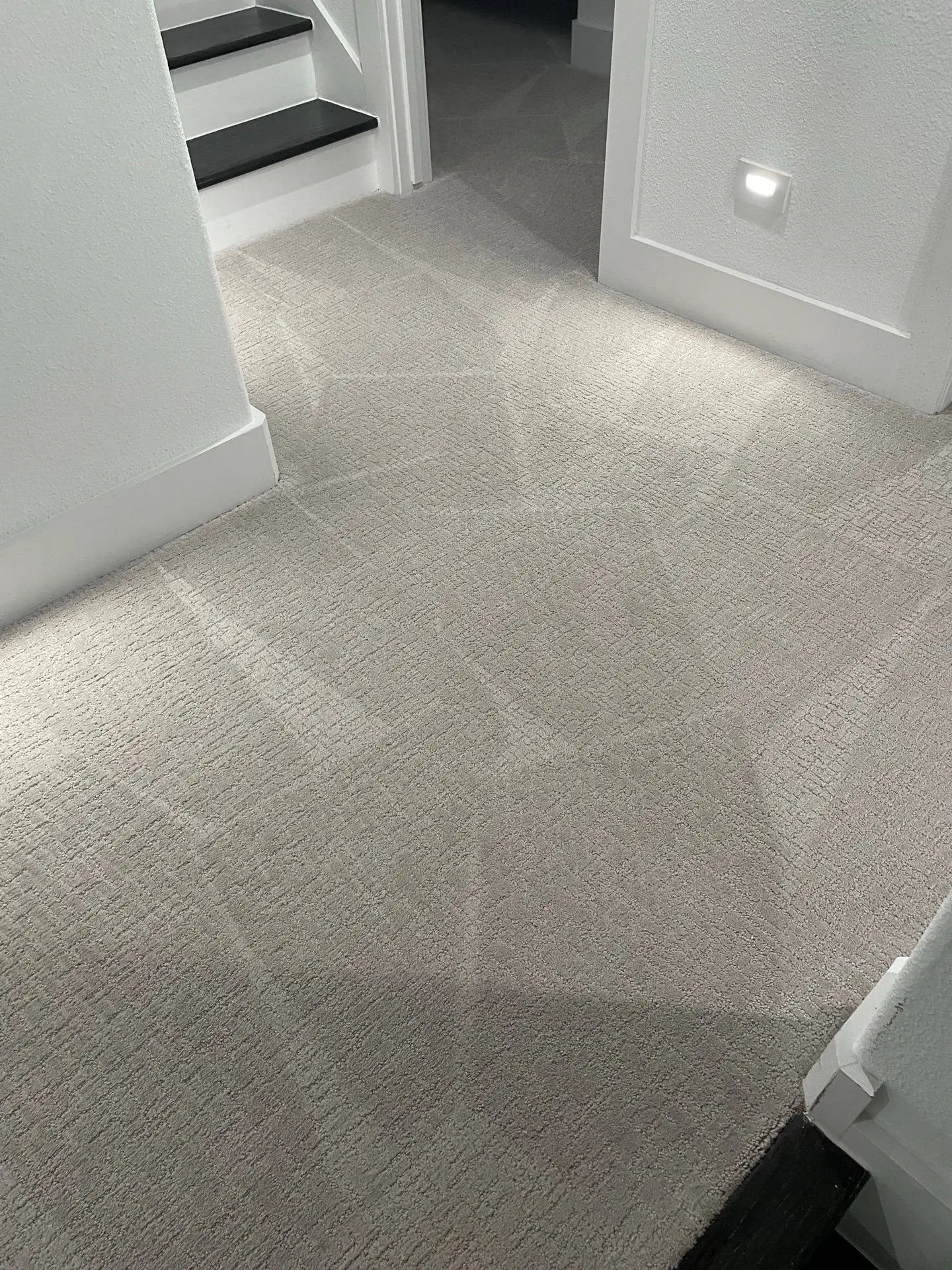 Residential Carpet Cleaning