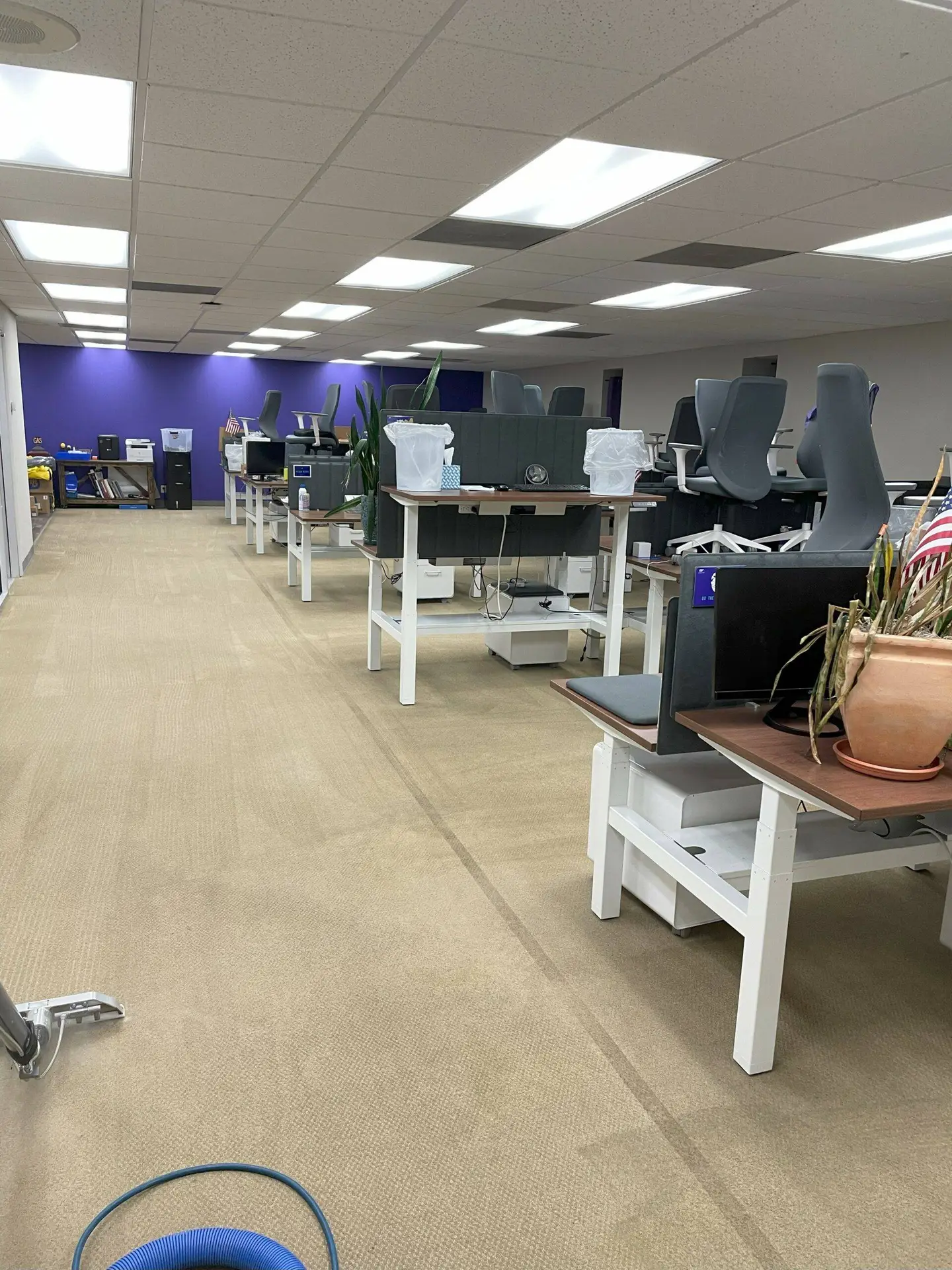 commercial carpet cleaning Dallas