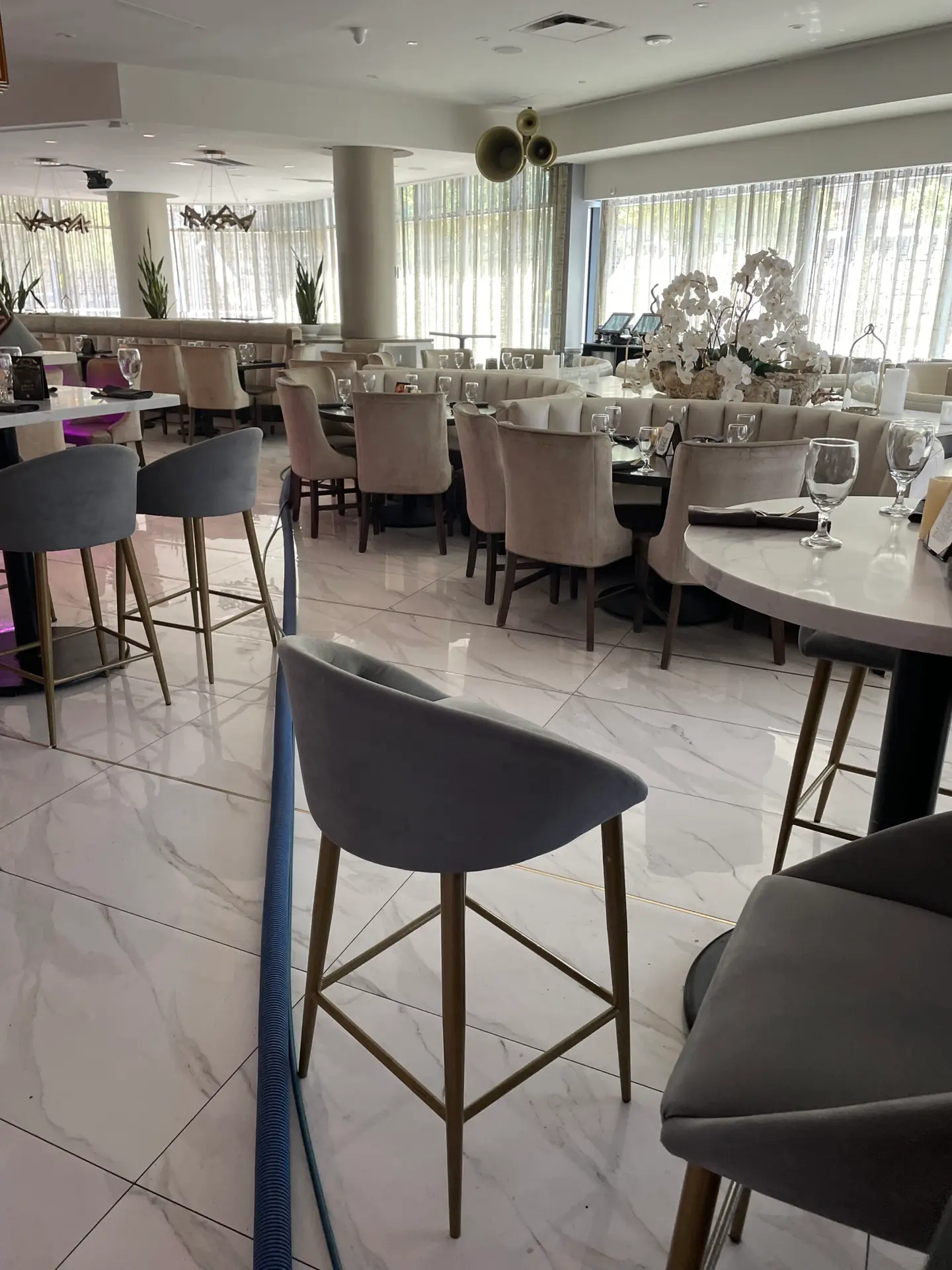 Restaurant carpet deep cleaning