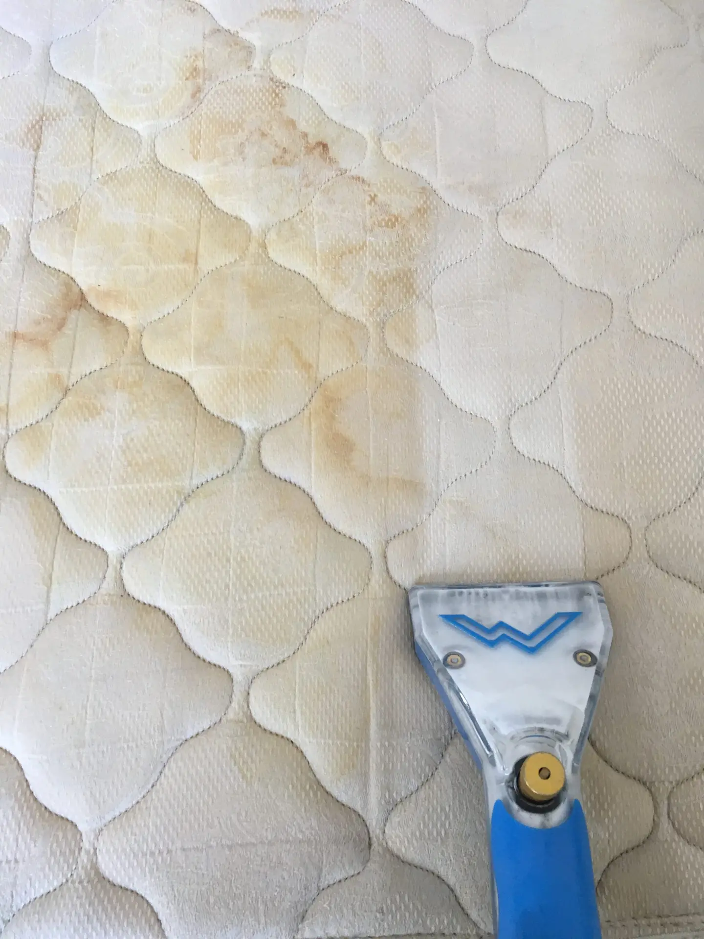 Professional mattress cleaning and sanitization Dallas