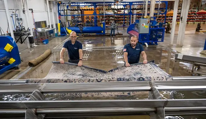 Oriental rug restoration and washing process in Dallas with technicians cleaning rug in water pit